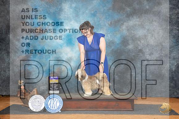 Tibetan Terrier #6 Sat WBOBO Judge Denise Dean__JP_7718_MARSHALL_2024_HR3