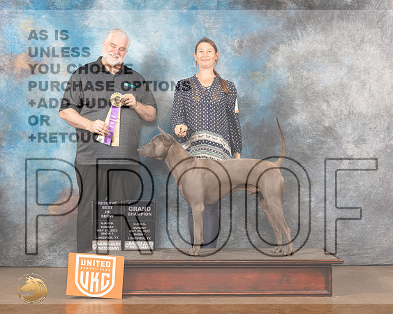 Thai Ridgeback #316 Sun1 RBIS Judge Matthew ProctorMMJ_6004_Lngvw2022HR3