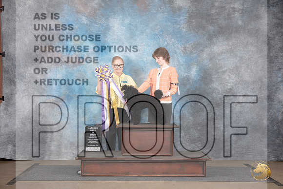 Poodle Miniature MC #328 Sat Alt BIS Judge Brenda Landers__JP_2577_LongviewTX_2024_HR3