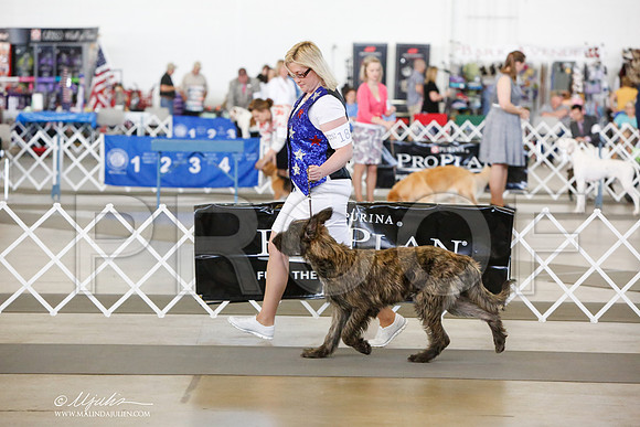 _JJ_7414-DallasJul2014-HR3