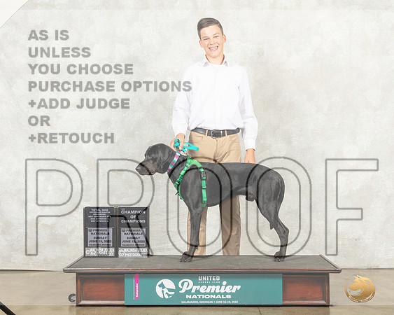 American Leopard Hound #113 Sun__MJ_8930_Premier_2022_HR3