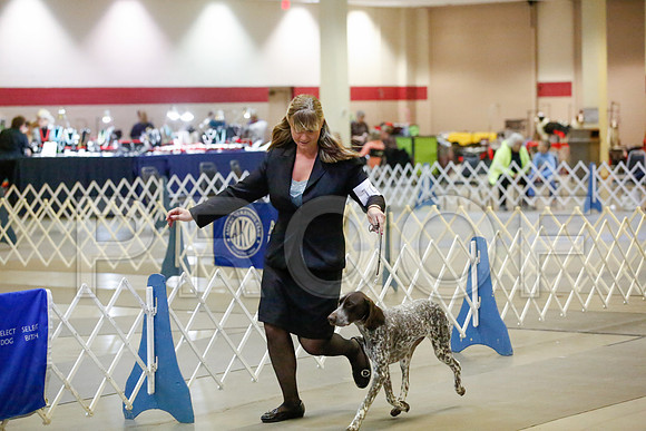_JJ_6101-AmarilloSept2014-HR3