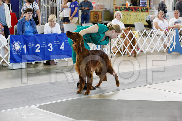 _JN_2484-DallasJul2014-HR3