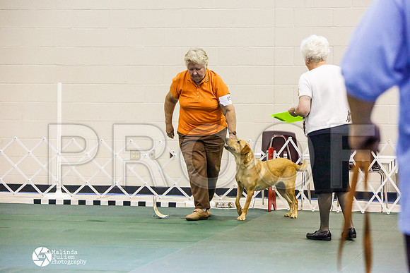 _JJ_2677-BsrCtyJun2014-HR3