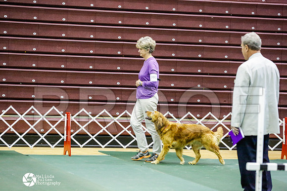 _RH_7896-BsrCtyJun2014-HR3
