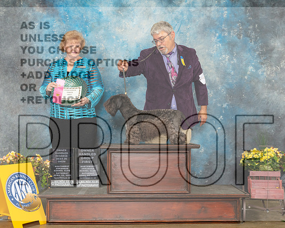 Cesky #15 Sat OHG1 Judge Betty Pollock-MMJ_0924-NWARK2022-HR3