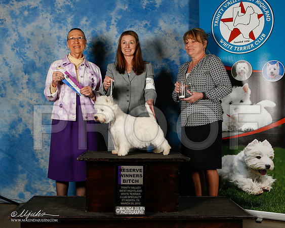 _ST_5568-2-FWMar2015-HR3