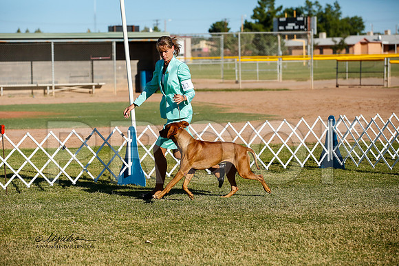 _JJ_2161-AlamogordoOct2014-HR3