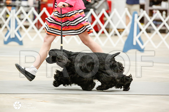 _JN_1163-AblnMay2014-web
