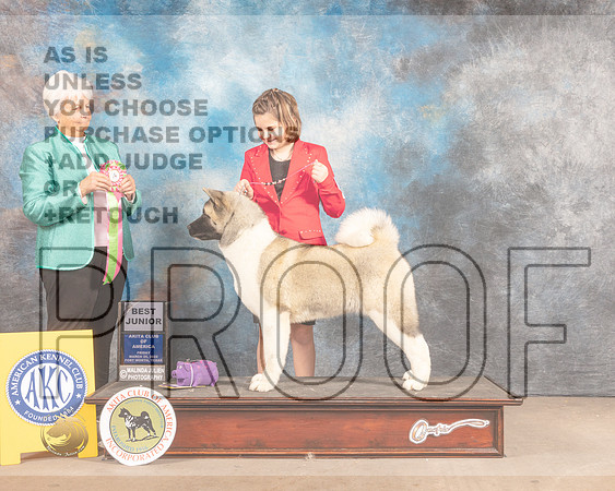 Akita #J7 Fri BJr Judge Gloria Kerr-MMJ_7331-FW2022-HR3