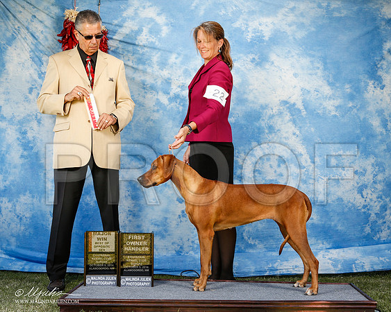 _ST_3176-2-AlamogordoOct2014-HR3