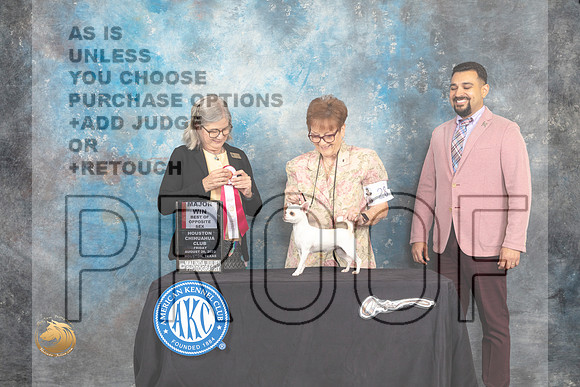 Chihuahua Smooth Coat #30 Fri1 BOS Judge Carol Pyrkosz_MJ_9607_HstnTOY_2022_HR3