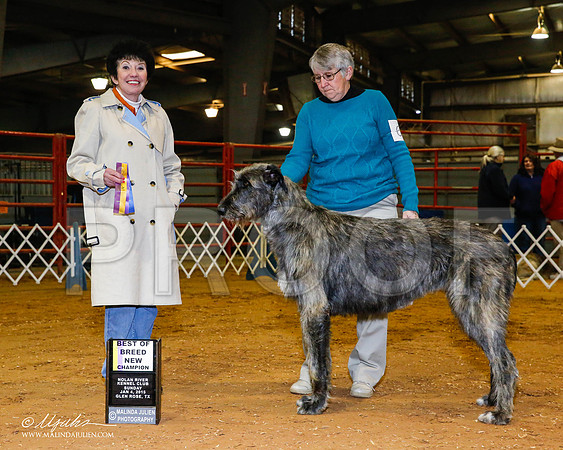 _RH_8916-2-GlenRoseJan2015-HR3