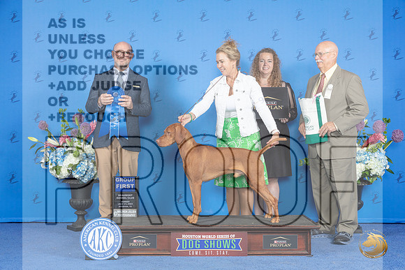 Vizsla #9 SUN G1Judge Jamie Hubbard__JP_0799_Houston_2024_HR3