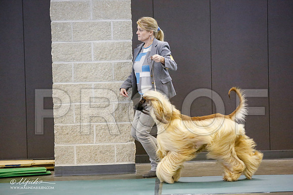 _JN_3718-BeltonJan2015-HR3
