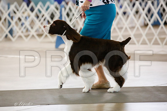 _JN_1574-DallasJul2014-HR3