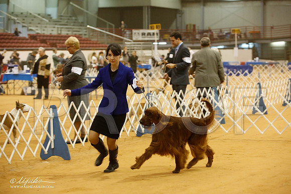_JJ_7535-GlenRoseJan2015-HR3