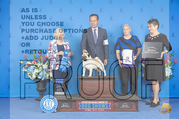 Pug #5 SAT G1 Judge Nancy Liebes__JP_0053_Houston_2024_HR3