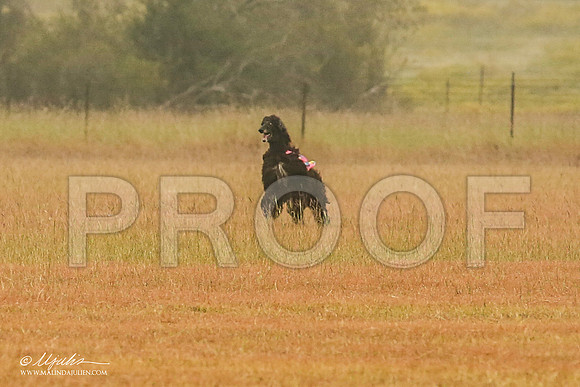 _MJ_2818-AfgBeltonOct2014-HR3