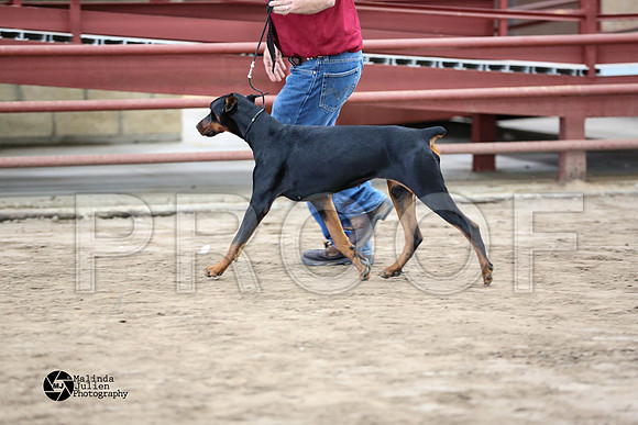 MJ2_2098-WacoFeb14-HR