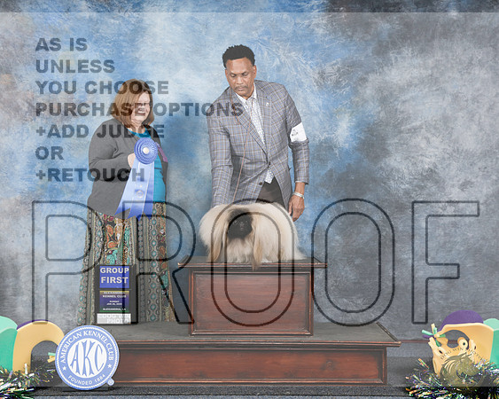 Pekingese #7 Sun G1 Judge Elizabeth MuthardPekingese #7 Sun G1 Judge Elizabeth Muthard_WP_3477e-Alexandria 2025-HR3