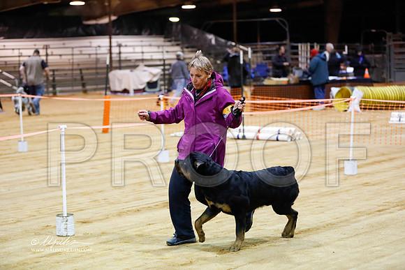 rott-0336-MrshlDec13-HR
