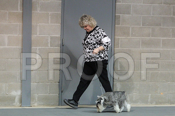 MiniSchCCL_1825LR