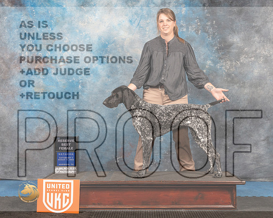 German Shorthaired Pointer #148 Sat1 RBF Judge Tracey Kallas_MMJ_6728_Addison2022_HR3