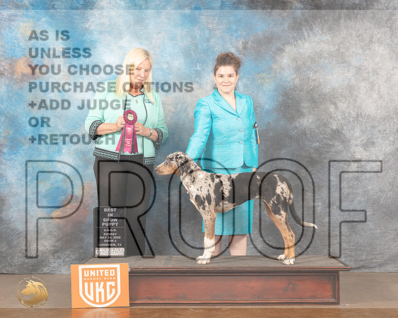 LCLD #202 PBIS Judge Katherine ShortMMJ_6268_Lngvw2022HR3