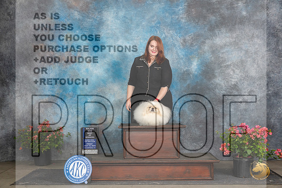 Pekingese #5 Fri WDBOWM Judge Azalea Alvarez__JP_4446_San Antonio_2024_HR3
