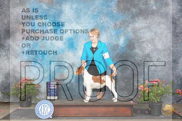 Brittany #22 Sun WB Judge Victor Rosado__JP_6269_San Antonio_2024_HR3