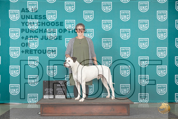 American Bulldog #101 Wed BISSAnnualVersAward Judge Stan Matsumoto__JP_0368_Premier_2024_HR3