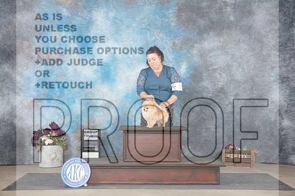 Pomeraian #8 Sun BOB G4 Judge Joan Liebes__JP_8056_Belton_2024_HR3