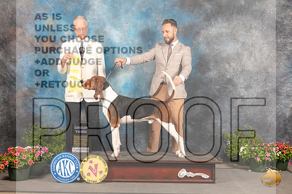 Treeing Walker Coonhound #5 Sat G3 Judge Allen Odom_MJ_0604_SA_2022_HR3