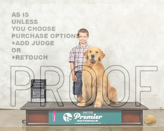 Golden Retriever #222 Fri HSJr Judge Susan Knowles__MJ_8845_Premier_2022_HR3