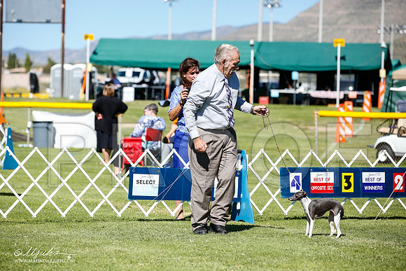 _JN_5287-AlamogordoOct2014-HR3