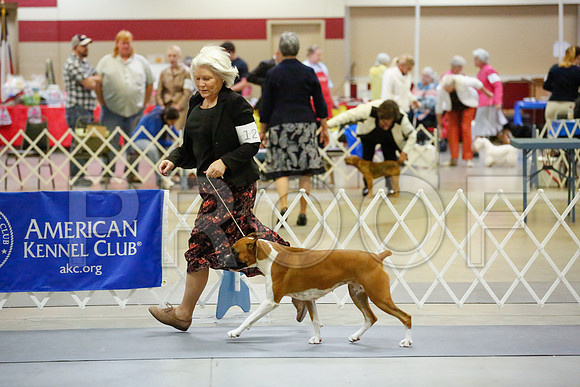 _JJ_6350-AmarilloSept2014-HR3