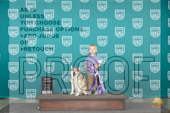 Alaskan Klee Kai #161 Wed BJr Judge Brenda Landers__JP_0413_Premier_2024_HR3