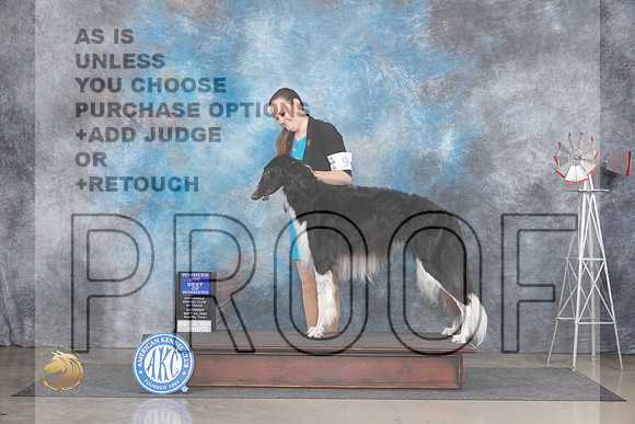 Borzoi #9 Sat WDBOW Judge Pat Trotter__JP_6262_Amarillo_2024_HR3