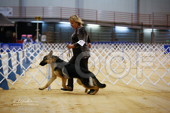 GSD-9635-GRJan14-HR