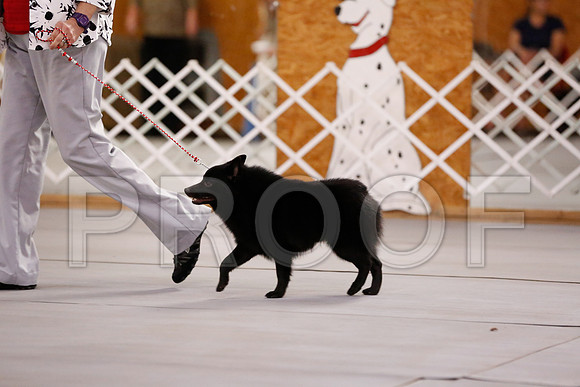 _RH_6056-CarlrolltonSept2014-HR3