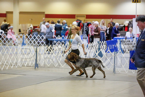 _JN_9333-AmarilloSept2014-HR3
