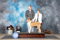 Collie Smooth #22 Su WB Judge Gloria Kerr