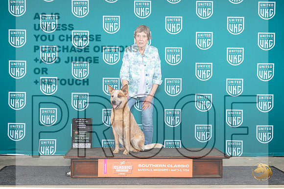 Australian Cattle Dog Sarah Anderson__JP_6739_BatesvilleMS_2024_HR3