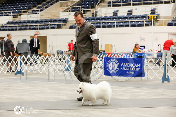 _JJ_7168-AblnMay2014-web