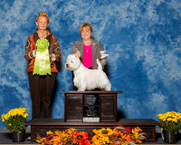 West Highland White Terriers #5 Sat OH RBiS Davis Darlene Cox Judge Ms Joanne M Buehler