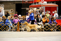 Best of Breed Group B Sat Ring WF GRCA Oct 2013