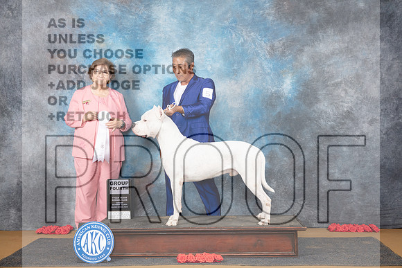 Dogo Argentino #5 Su G4 Judge Nikki Riggsbee__JP_0920_Sulphur Springs_2024_HR3