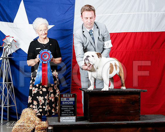 _ST_1651-2-AmarilloSep2014-HR3