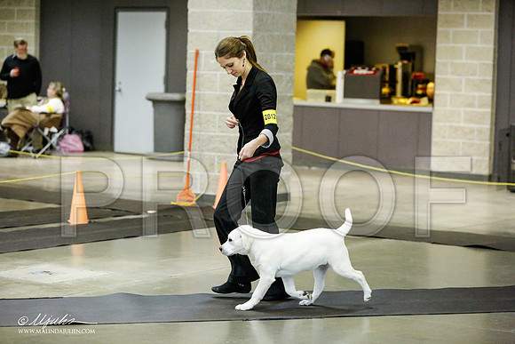 _RH_1110-BeltonJan2015IABCA-HR3